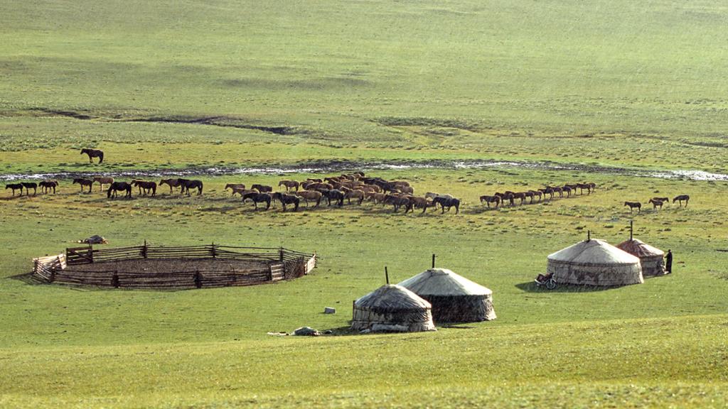 mongolie