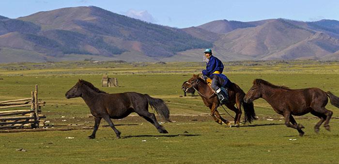 Las 10 Mejores Cosas que Hacer y Ver en Mongolia