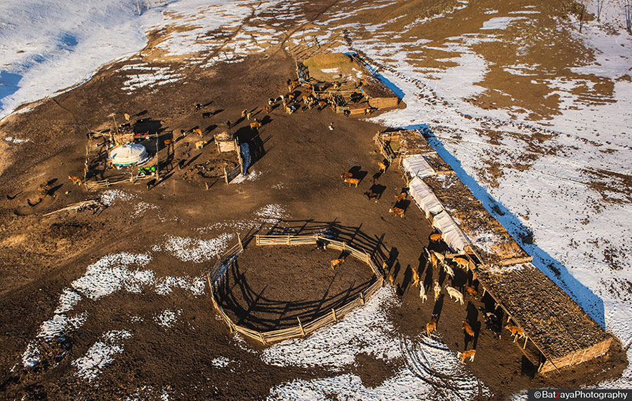 Hiver nomade en Mongolie