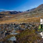 voyager avec son chien en Mongolie
