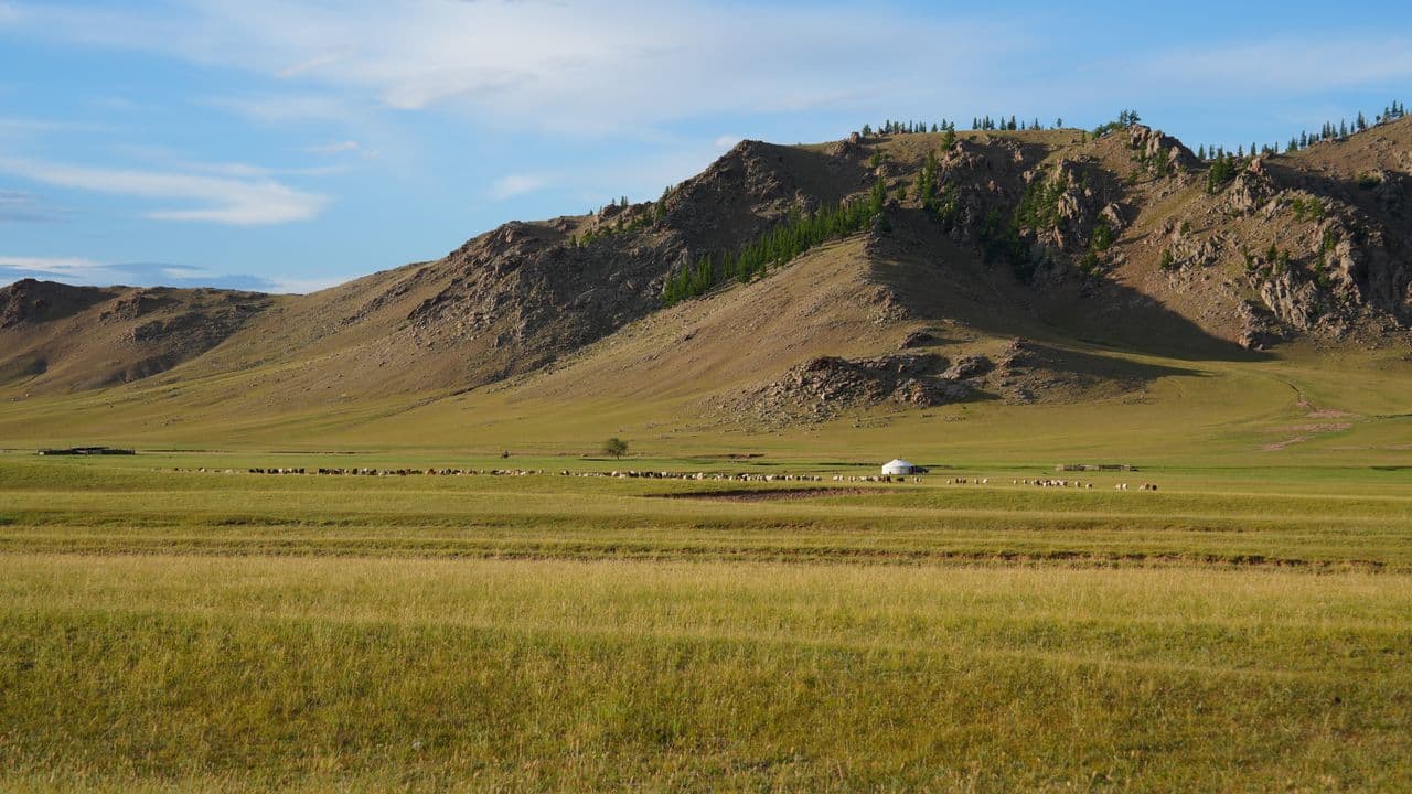 Steppe de Dornod