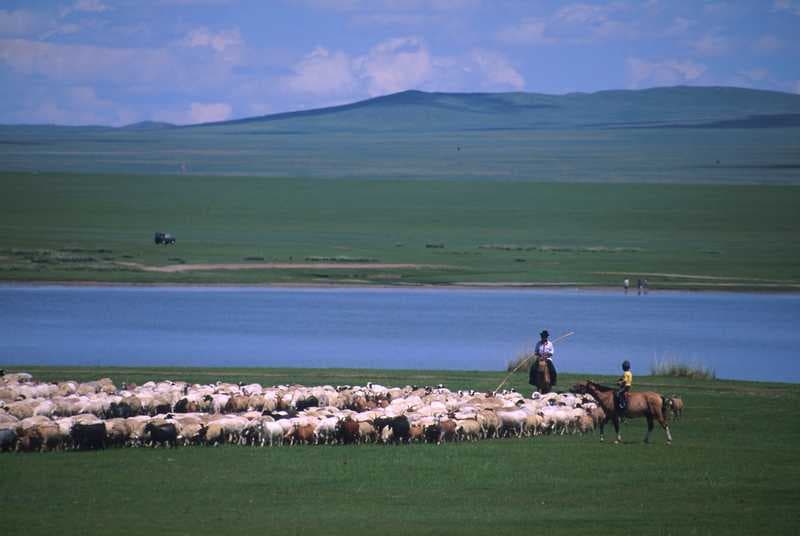 Les différents problèmes qui touchent l’agriculture en Mongolie