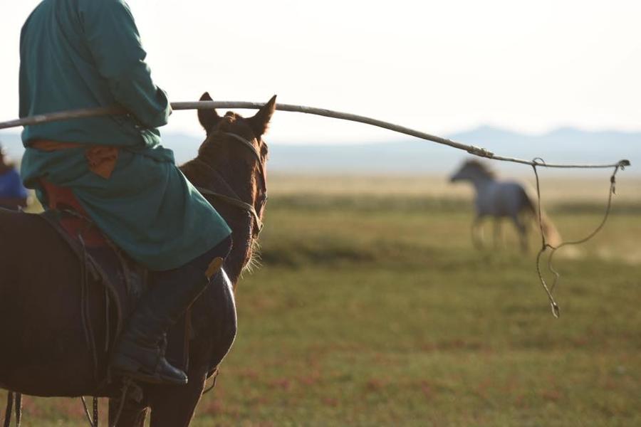 Deux courses à cheval pour découvrir la Mongolie en 2020