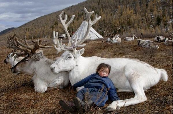 Kinder der mongolischen Steppe