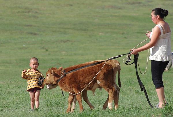 Kinder der mongolischen Steppe