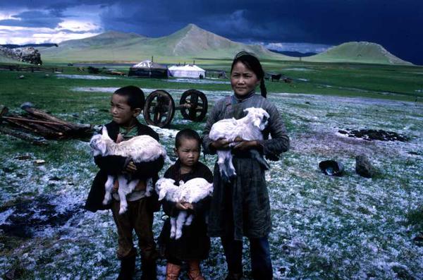 Les enfants des steppes de Mongolie