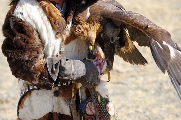 Le Festival des aigles dans l'Altai