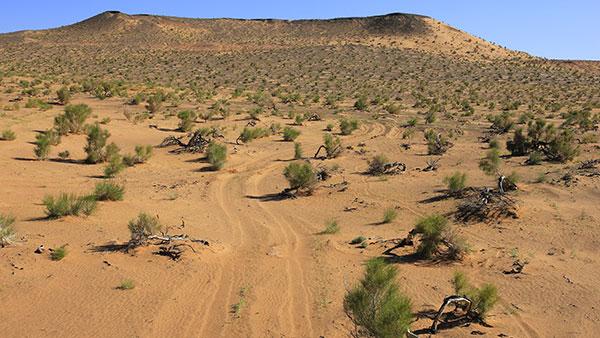 Désert de gobi pierres