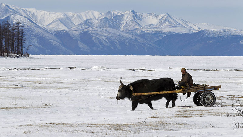 Decouvrir La Mongolie En Hiver Horseback Mongolia Decouvrir La Mongolie En Hiver Horseback Mongolia