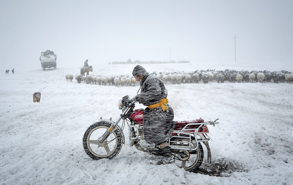 Le photographe Hamid Sardar vous emmène à la rencontre des nomades de Mongolie…