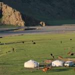 Camp de yourte en Mongolie